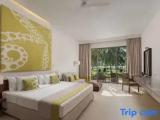 Deluxe room oceanfront