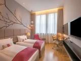 Premium Quadruple room