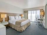 Business Suite