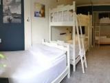 Bed in Dorm