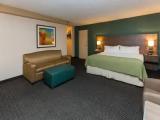 1 Bedroom Suite