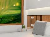 Standard Penthouse room