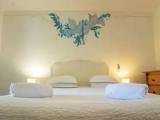 Standard Double room with garden view