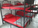 Bed in Dorm