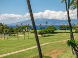 1 Bedroom Standard room with partial ocean view