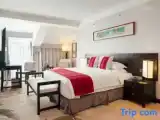 Family Duplex Suite