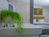 Business Double room with city view