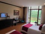 Deluxe Twin room with balcony and with golf view