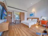 Standard Double room with river view