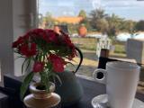 1 Bedroom Standard Apartment with garden view