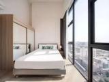 Family Duplex Suite
