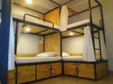 Bed in Dorm (male dorm)