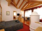 Superior Double Suite with mountain view