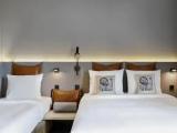 Moxy Family Sleeper Double room