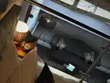 Penthouse Suite