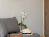 Comfort Single room