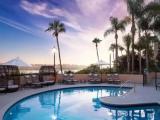 1 Bedroom Single Suite