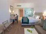 Superior room with garden view