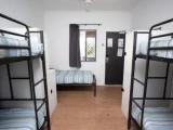 Bed in Dorm (female dorm)
