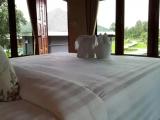 Deluxe room with balcony