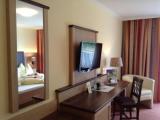 Standard Double room with balcony and with lake view