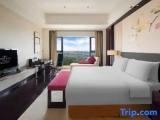 Luxury Double Suite