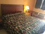 Standard Double room with balcony and with view