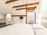 1 Bedroom Comfort Double room with garden view
