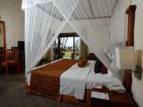 Deluxe Suite with garden view