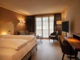Standard Double room with balcony and with mountain view