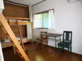 Bed in Dorm