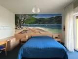Standard Double room with balcony and with lake view