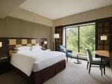Standard Double Comfort Room