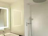 Standard Penthouse room