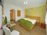 Superior Double room with balcony and with mountain view
