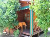 Bungalow with garden view