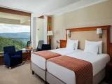 Superior Double room with balcony and with river view
