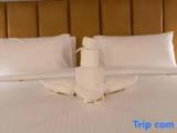 The Luxe Suite