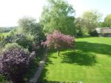 Business Double room with garden view