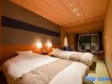 Standard Double room with mountain view