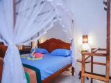 Standard Double room with garden view