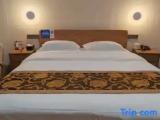 Comfort Suite