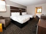 Executive Quadruple room