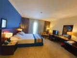 Deluxe Double room with garden view