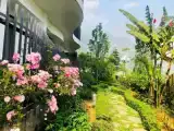 Deluxe Double room with garden view