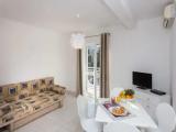 Luxury Apartment