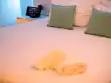 Deluxe room with balcony and with land view