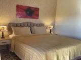 Standard Double room with pool view
