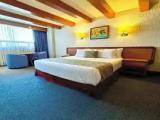 Deluxe Junior Suite
