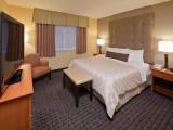 1 Bedroom Executive Double Suite